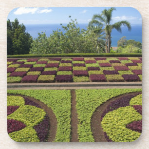 Portugal, Madeira eiland, Funchal. Botanisch Bier Onderzetter