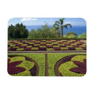 Portugal, Madeira eiland, Funchal. Botanisch Magneet