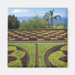 Portugal, Madeira eiland, Funchal. Botanisch Magneet