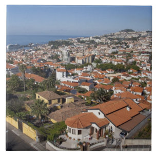 Portugal, Madeira, Funchal. Kabelauto Tegeltje