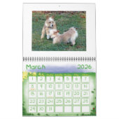 Portugees kalender Podengo Pequeno (Mar 2026)