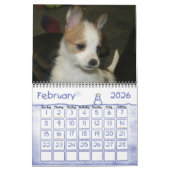 Portugees kalender Podengo Pequeno (Feb 2026)