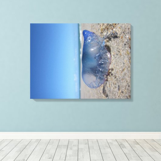 Portugees Man O' War Canvas Afdruk (Insitu (Houten vloer))