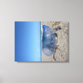 Portugees Man O' War Canvas Afdruk (Voorkant)