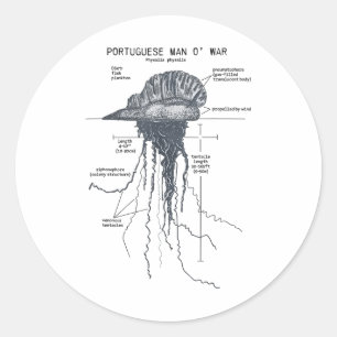 Portugees Man van Oorlog Anatomie Marine Biologist Ronde Sticker