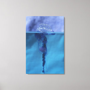 Portugees Man van oorlog Canvas Afdruk