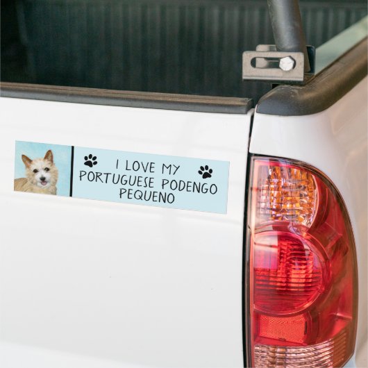 Portugees Podengo Pequeno schilderen - Oorspronkel Bumpersticker (Op Truck)