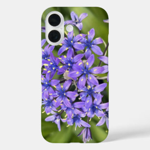 Portugees Squill Flowers Closeup Natuur Foto iPhone 16 Hoesje