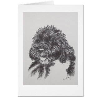 Portugees water Dog Bo Obama