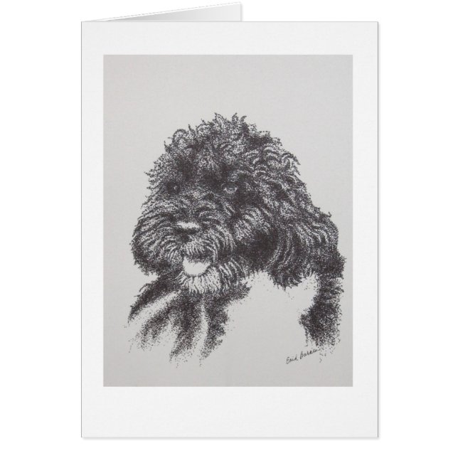 Portugees water Dog Bo Obama (Voorkant)