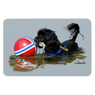 Portugees Water Hond 2 met Boei Bal Magneet
