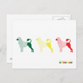 Portugese Kaart waterhond (Voorkant / Achterkant)