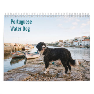 Portugese Waterdog 2027 wandkalender Kalender