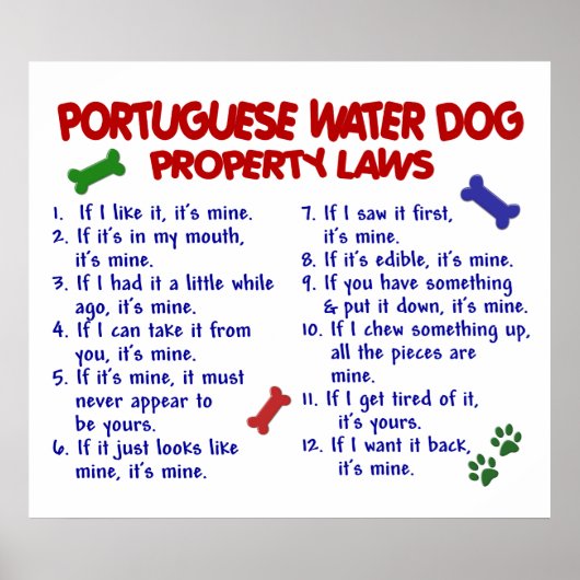 PORTUGESE WATERDOG PL2 POSTER (Voorkant)