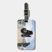 Portugese waterhond laat het sneeuwen Kerstmis Bagagelabel (Voorkant verticaal)