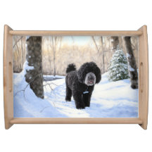 Portugese waterhond laat het sneeuwen Kerstmis