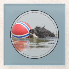Portugese waterhond met buoy Ball Glazen Onderzetter