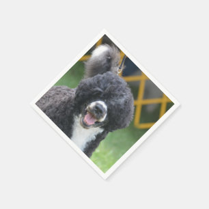 Portugese waterhond servetten