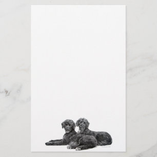 Portugese waterhonden briefpapier
