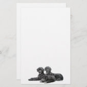 Portugese waterhonden briefpapier (Voorkant / Achterkant)