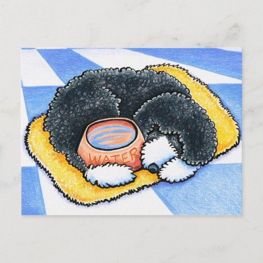 Portuguese Water Dog Briefkaart (Voorkant)