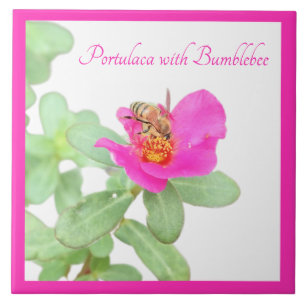 Portulaca met hommel op wit tegeltje