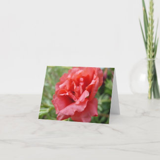 Portulaca notecard kaart