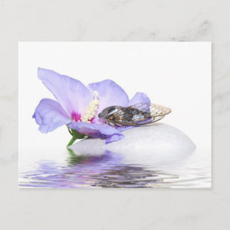 Poscard - Cicada in Provence Briefkaart