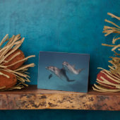 Pose afspelen fotoplaat (Zijkant)