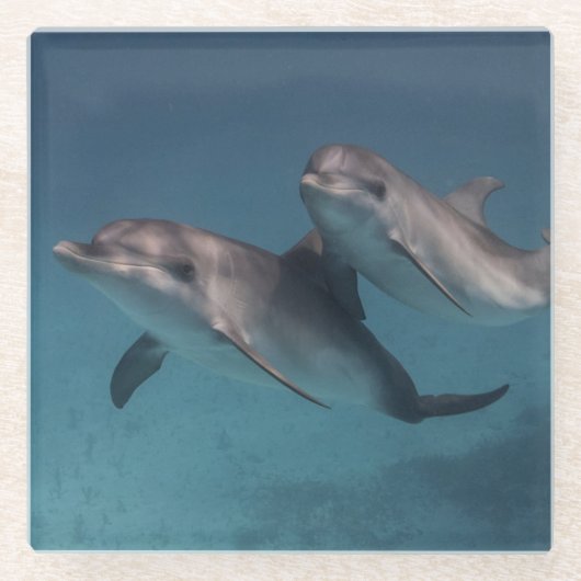 Pose afspelen glazen onderzetter (Voorkant)