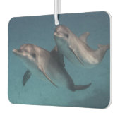 Pose afspelen luchtverfrisser (Links)