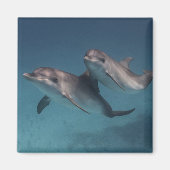 Pose afspelen magneet (Voorkant)