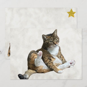 Pose de chat sot - Carte de voeux plate d'Annie