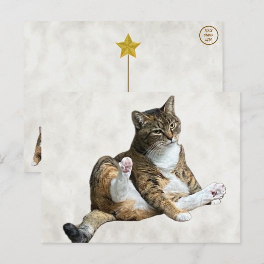 Pose de chat sot - Carte postale d'Annie (Devant / Derrière)