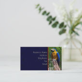 Pose de perroquet ~ Carte de visite (Debout devant)