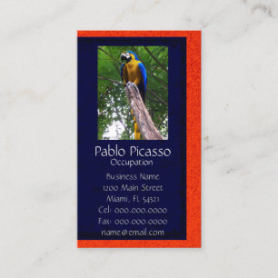Pose de perroquet ~ Carte de visite