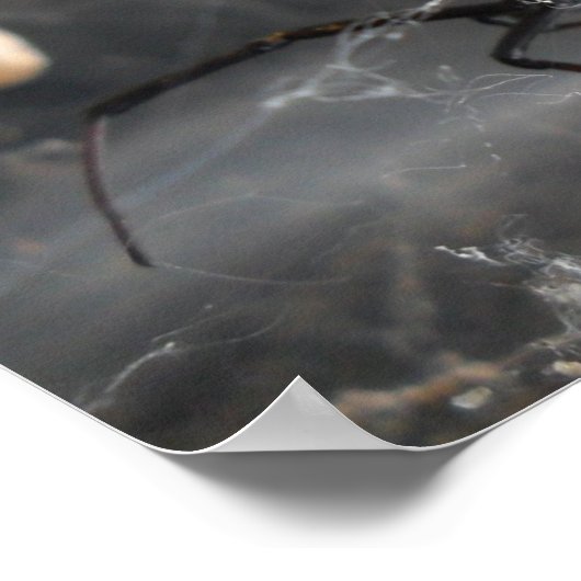 Pose van weduwe poster (Hoek)