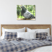 Poseerduif Canvas Afdruk (Insitu (Slaapkamer))