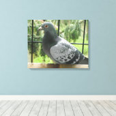 Poseerduif Canvas Afdruk (Insitu (Houten vloer))