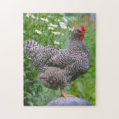 Poser un puzzle de poulet (Vertical)