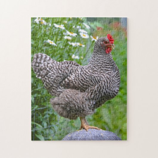 Poser un puzzle de poulet (Vertical)