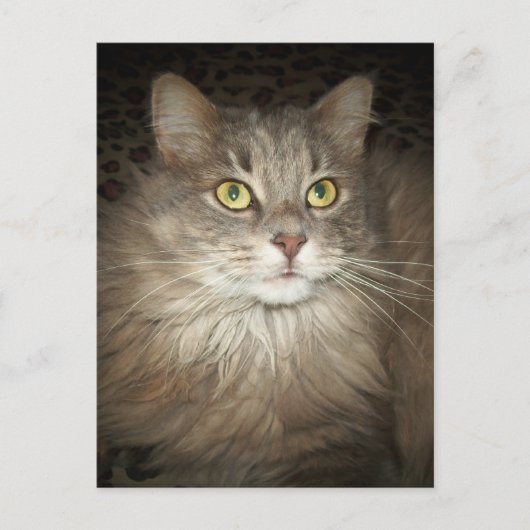 Poseren Briefkaart (Voorkant)