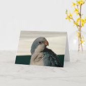 Poseren voor de camera kaart (Gele Bloem)