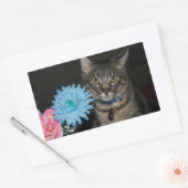 Poses de chat avec Stickers Fleurs (Enveloppe)