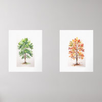 Posez le chêne avec les Feuilles verts et le feuil