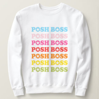 Posh Boss Star Studded Rainbow Sweater