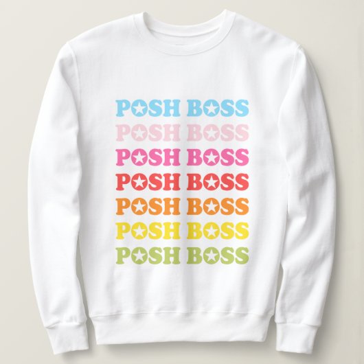 Posh Boss Star Studded Rainbow Sweater (Design voorkant)