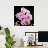 Posh Pink Orchidées Poster (Bureau à domicile)
