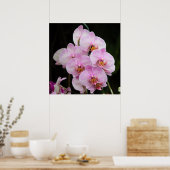 Posh Pink Orchidées Poster (Cuisine)