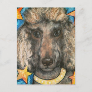 Posh Poodle Briefkaart